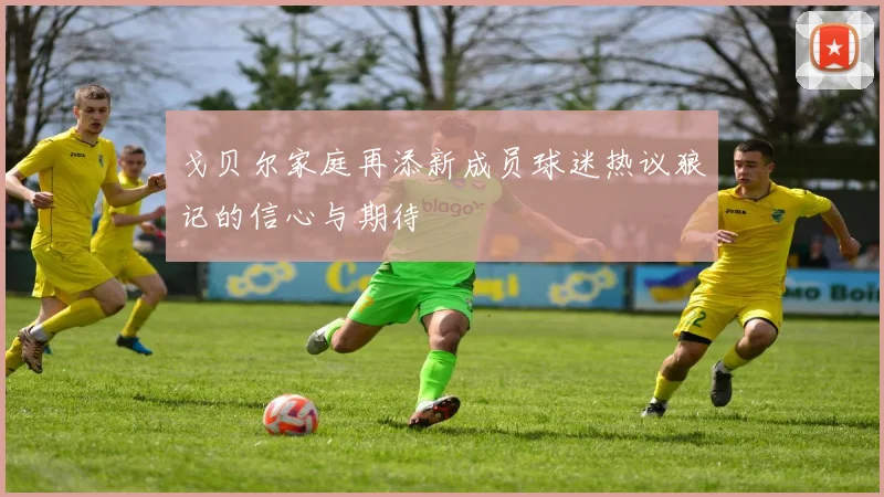 戈贝尔家庭再添新成员球迷热议狼记的信心与期待