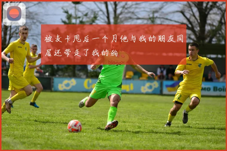 被麦卡甩后一个月他与我的朋友同居还带走了我的狗