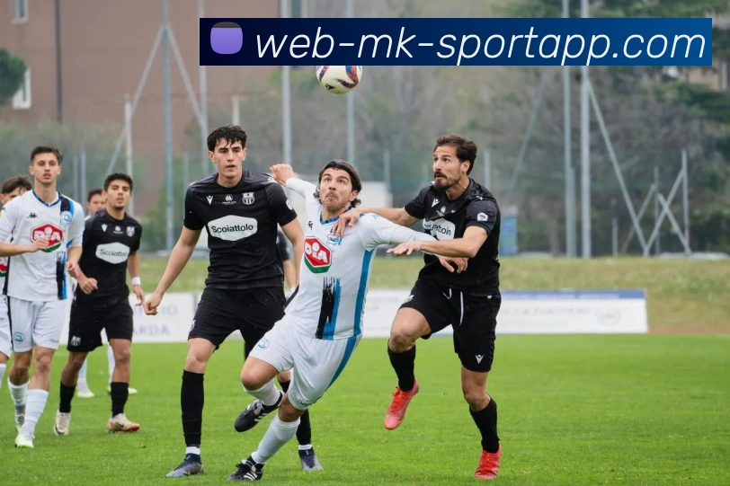 App Interface Preview