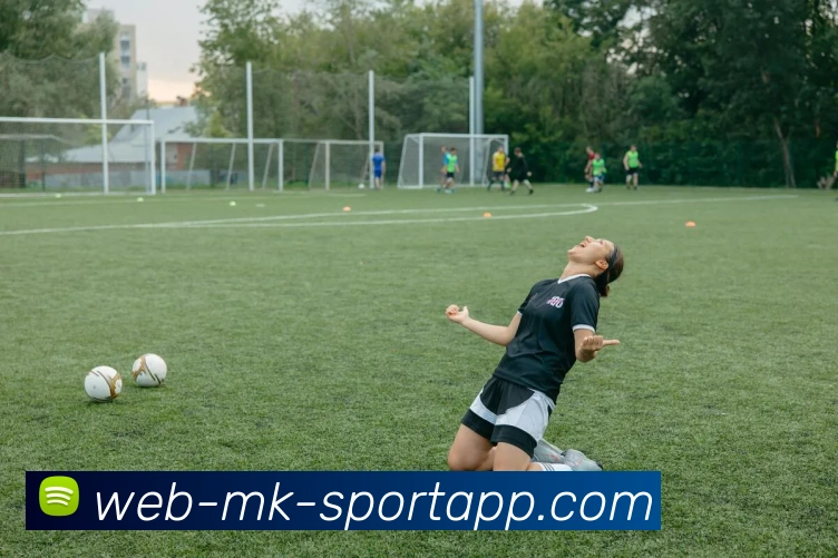 MK体育APP 封面图